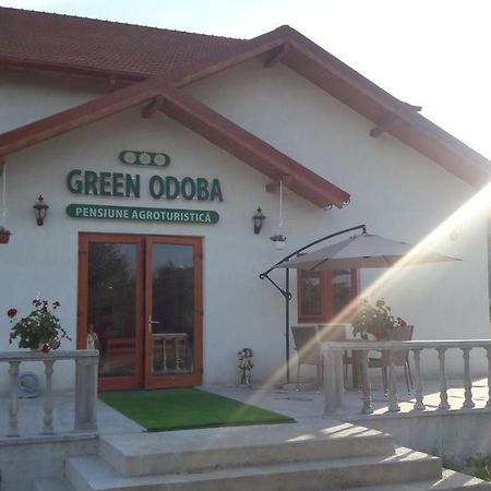 Pensiunea Agroturistica Green Odoba Sătuc Exteriör bild
