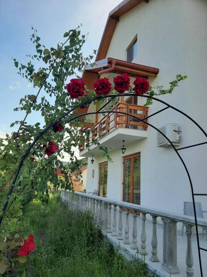 Pensiunea Agroturistica Green Odoba Sătuc Exteriör bild