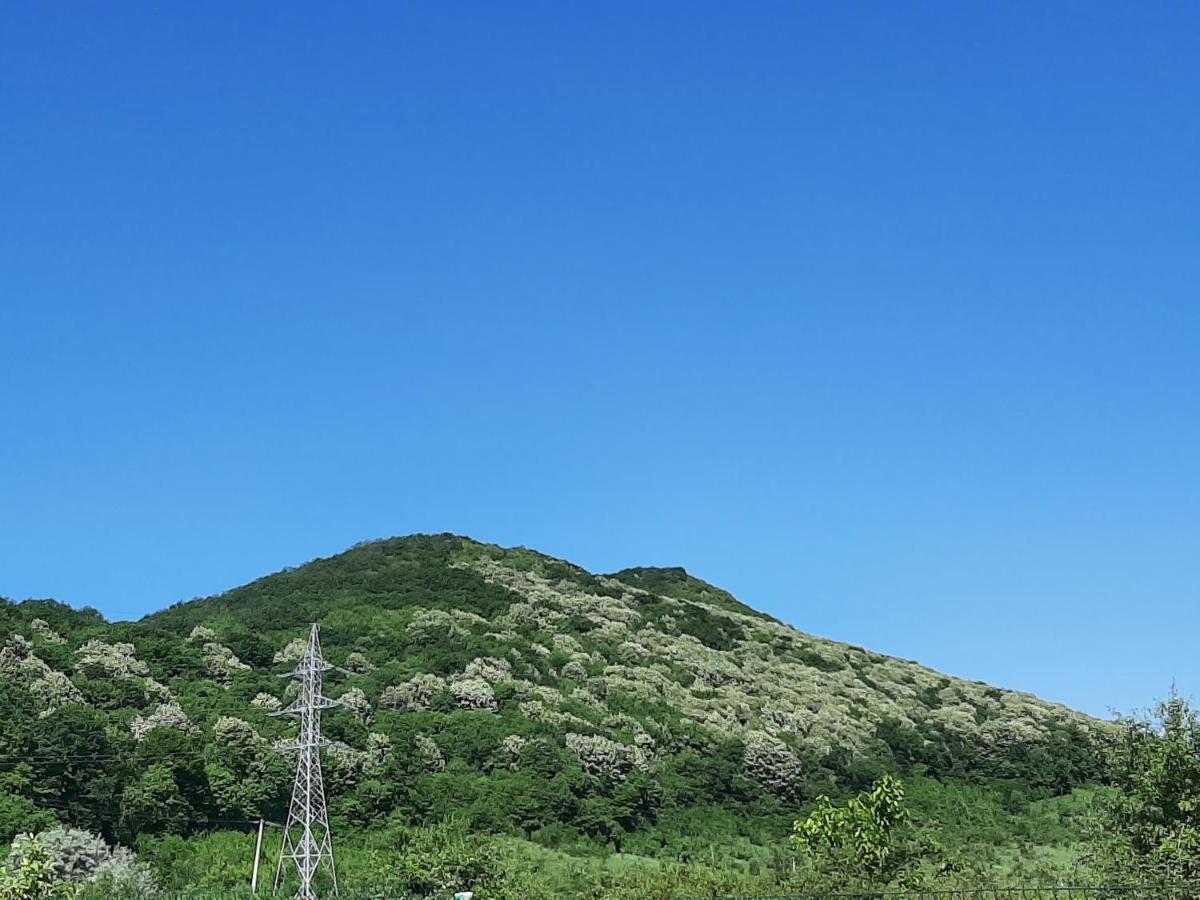 Pensiunea Agroturistica Green Odoba Sătuc Exteriör bild