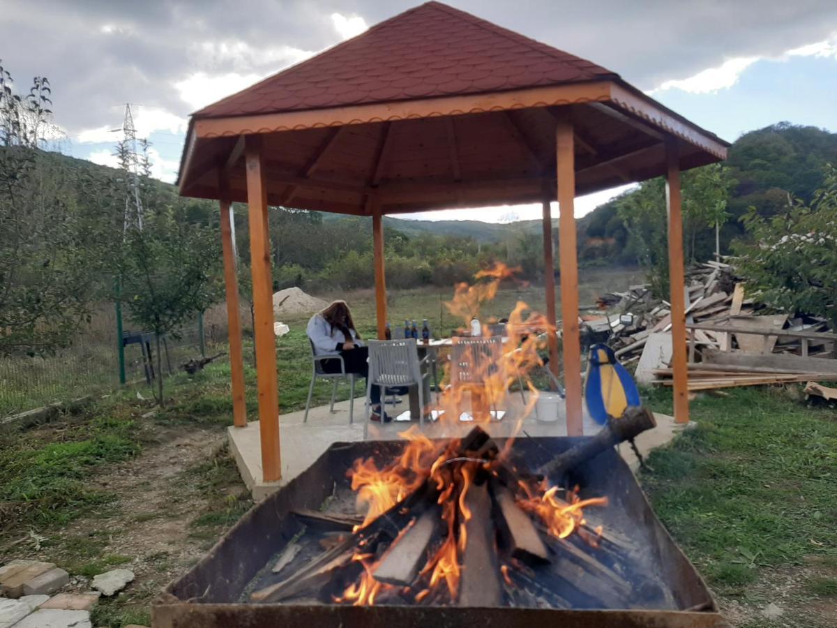 Pensiunea Agroturistica Green Odoba Sătuc Exteriör bild