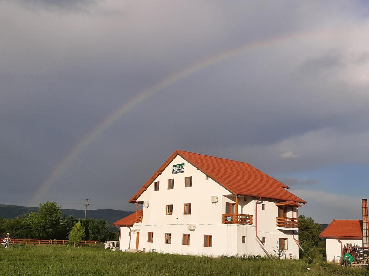 Pensiunea Agroturistica Green Odoba Sătuc Exteriör bild