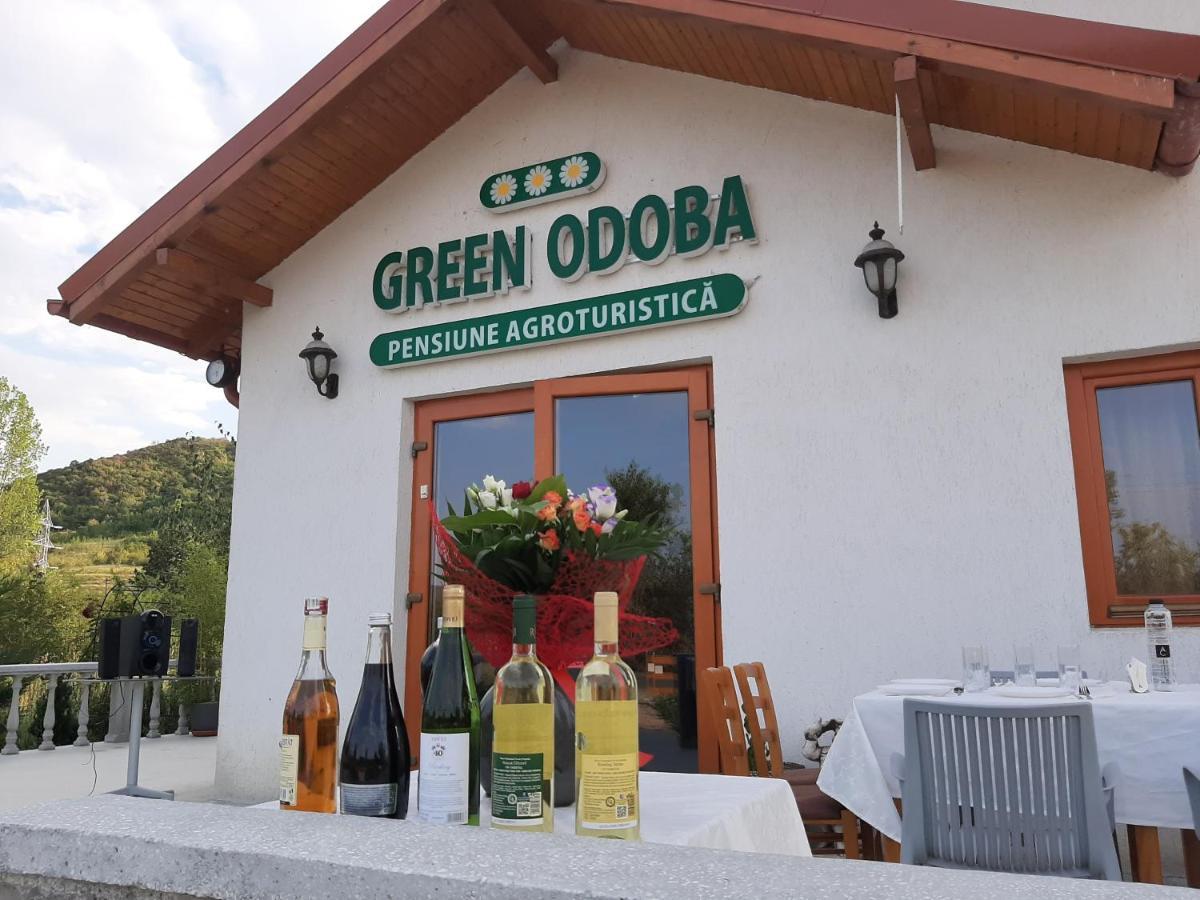Pensiunea Agroturistica Green Odoba Sătuc Exteriör bild