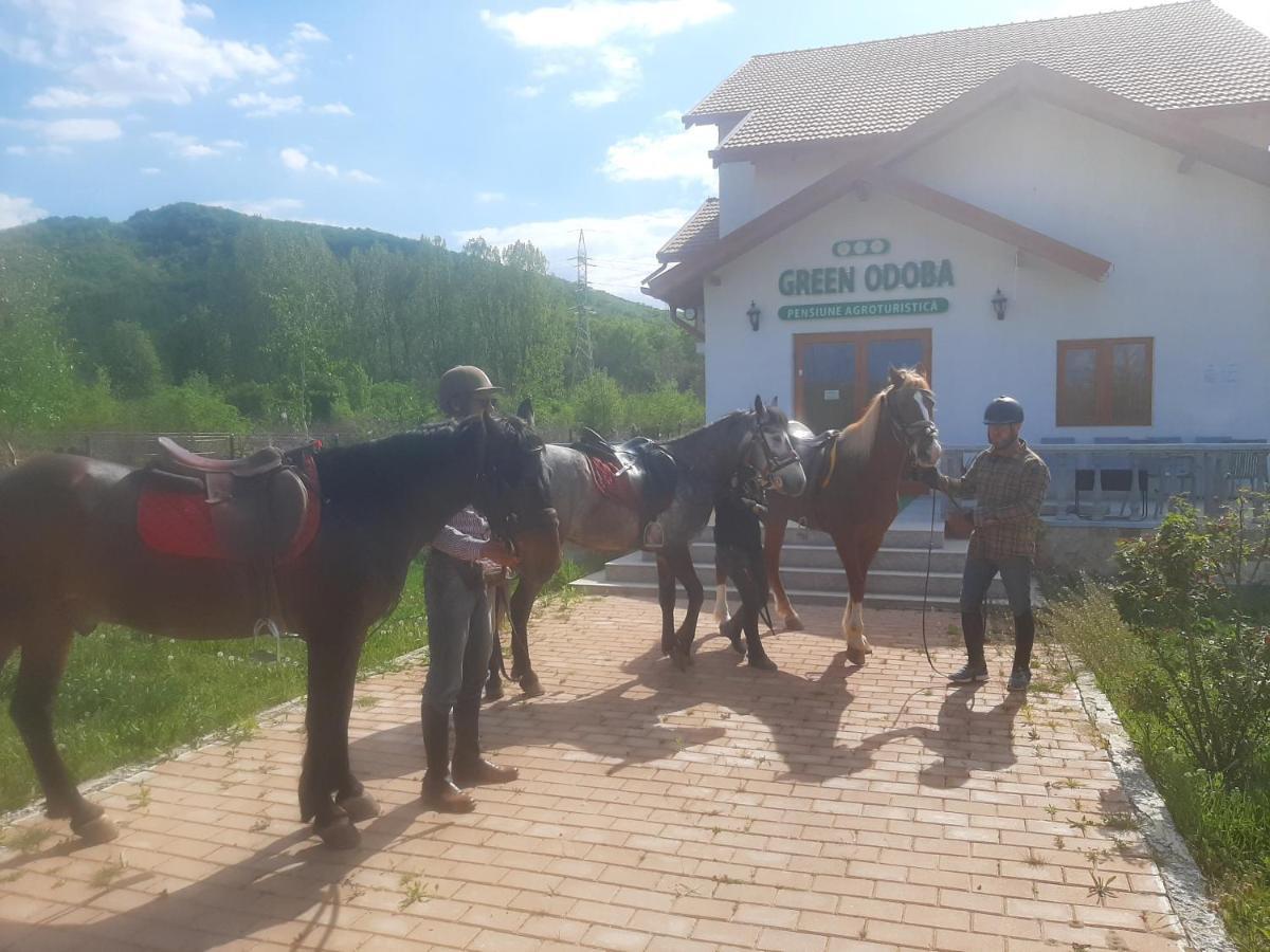 Pensiunea Agroturistica Green Odoba Sătuc Exteriör bild