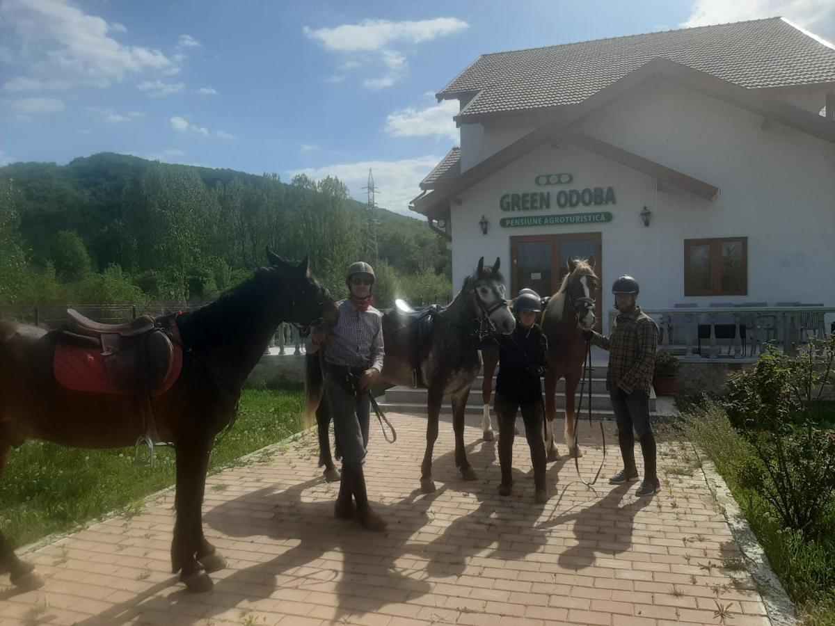 Pensiunea Agroturistica Green Odoba Sătuc Exteriör bild
