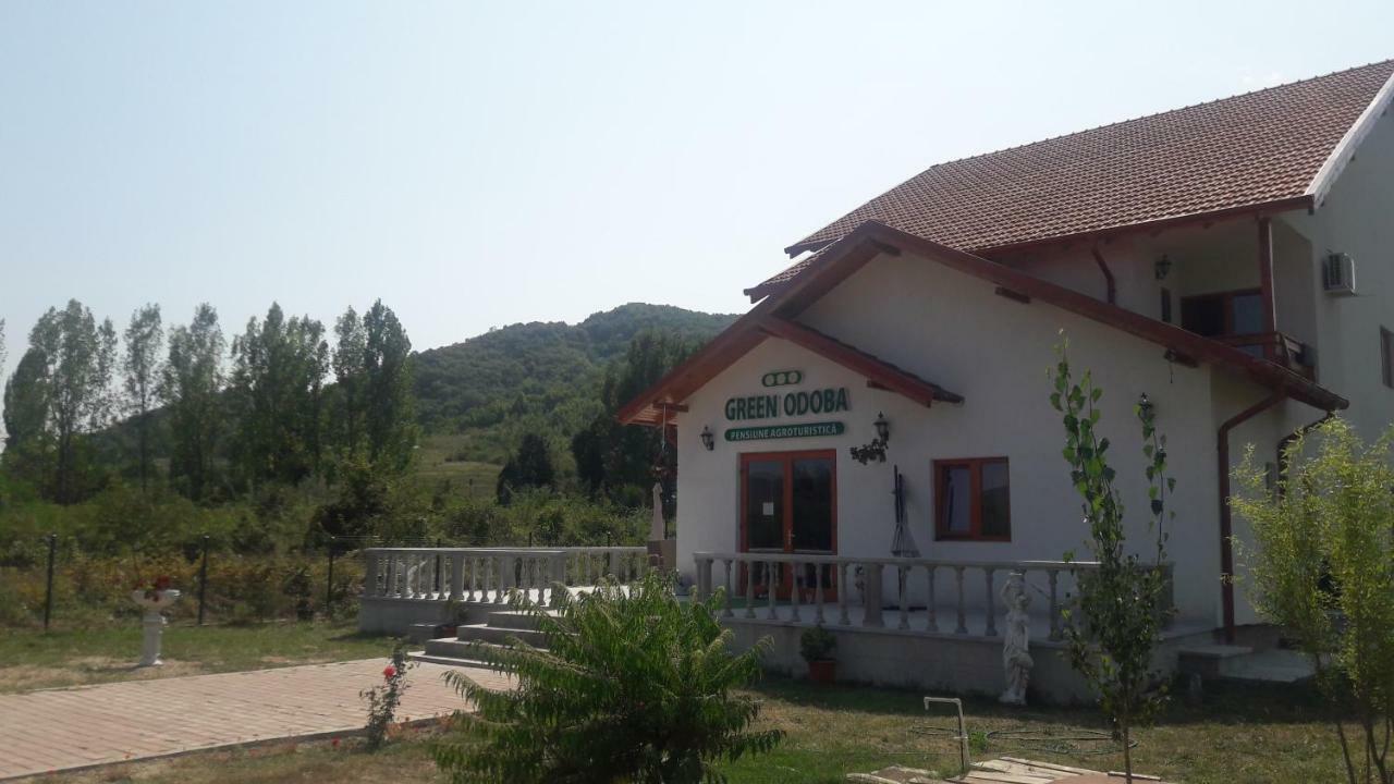 Pensiunea Agroturistica Green Odoba Sătuc Exteriör bild